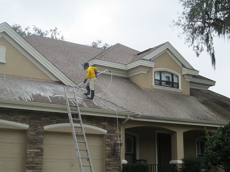 Hammerhead Pressure Washing Roof Cleaning Softwashing Photos FL