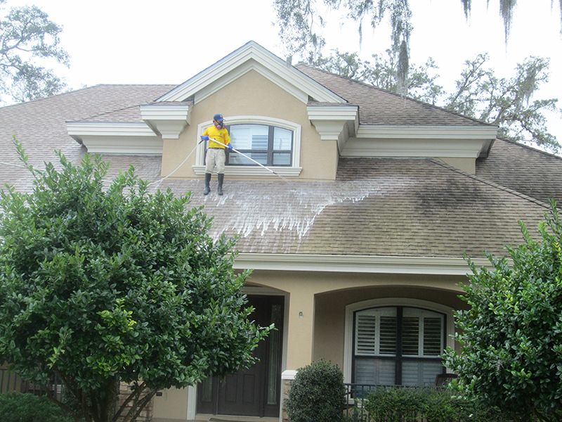 Hammerhead Pressure Washing Roof Cleaning Softwashing Photos FL