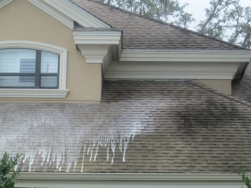 Hammerhead Pressure Washing Roof Cleaning Softwashing Photos FL