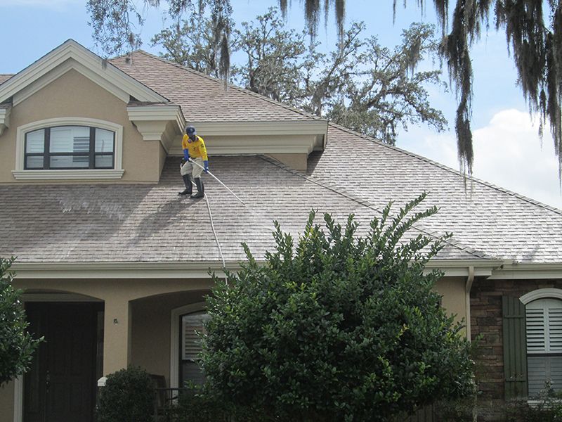 Hammerhead Pressure Washing Roof Cleaning Softwashing Photos FL