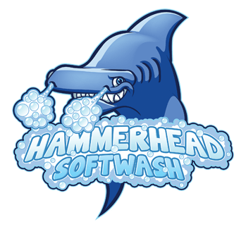 Hammerhead Softwash