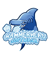 Hammerhead Softwash